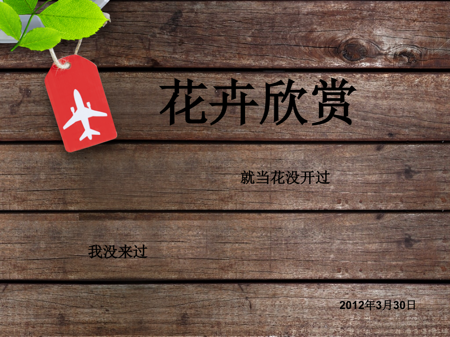 常用花卉欣赏.ppt_第1页