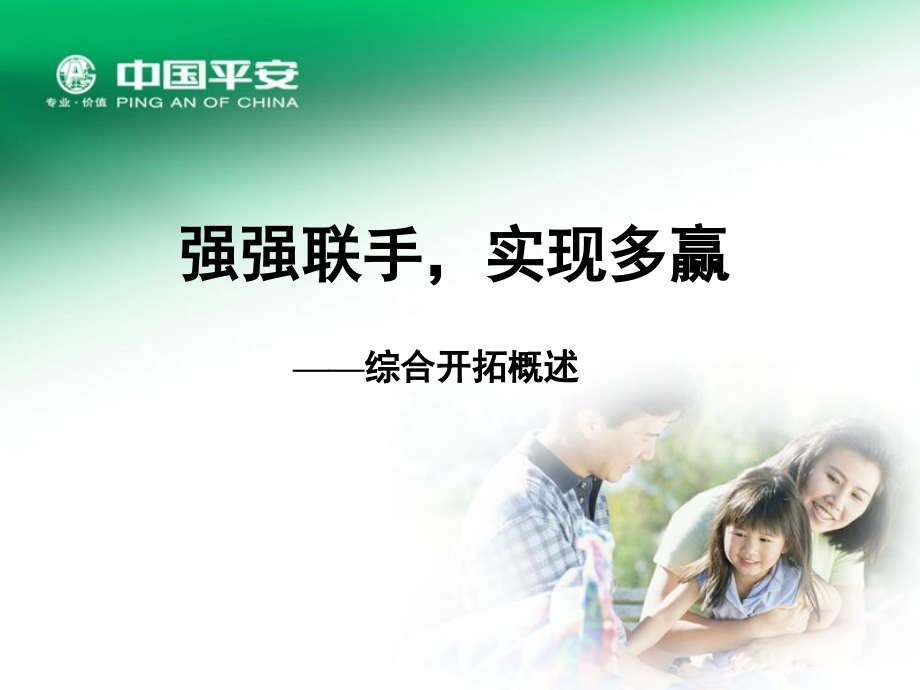 综合开拓概述.ppt_第1页
