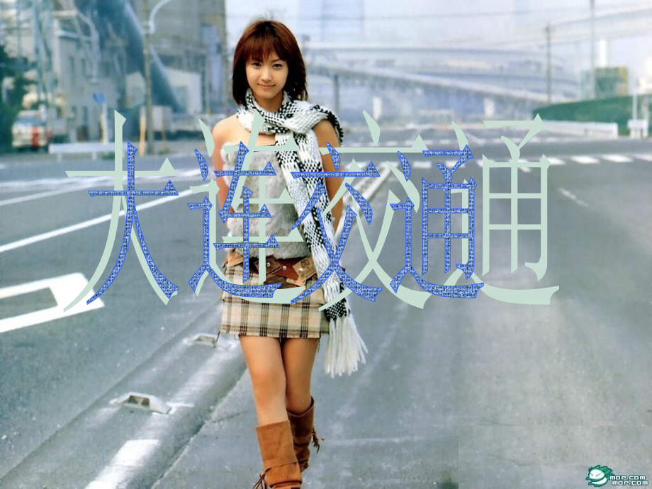 大连城市化.ppt_第2页