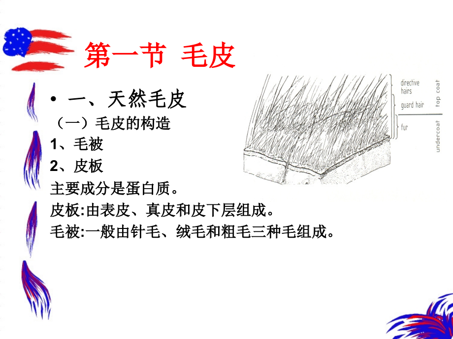 第六章 服装用皮革材料.ppt_第2页