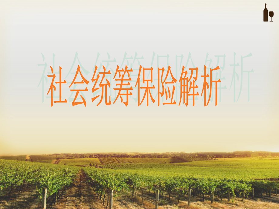 社会统筹保险解析.ppt_第1页