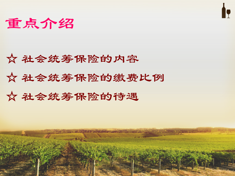 社会统筹保险解析.ppt_第2页