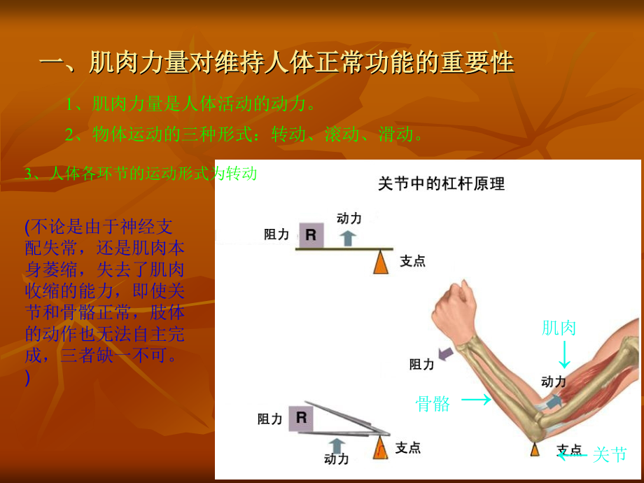 运动处方2.ppt_第2页