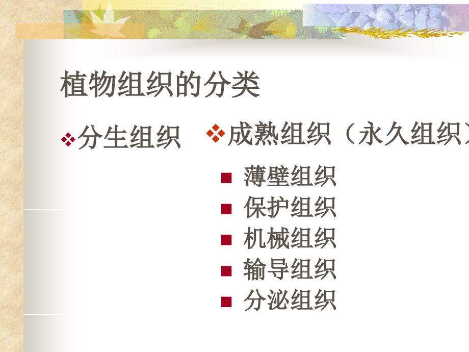 植物解剖和生理.ppt_第2页