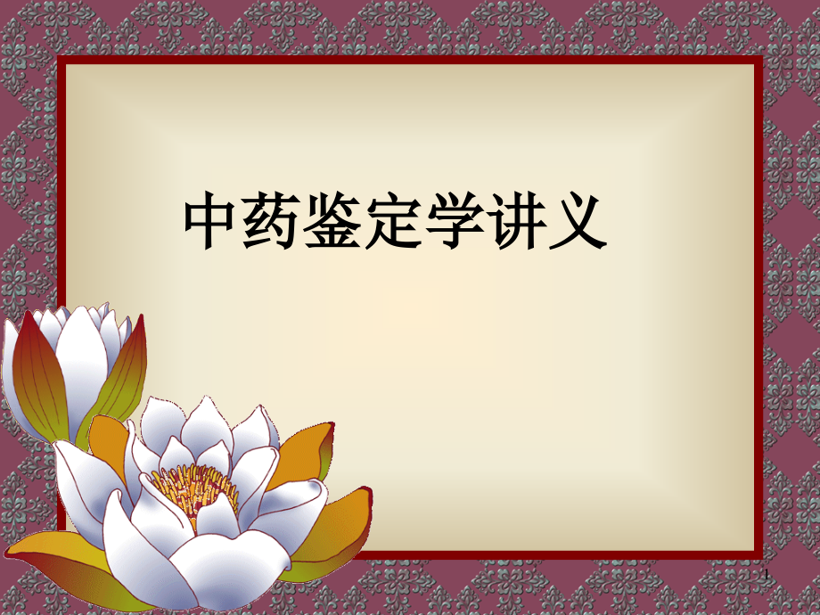 中药鉴定学总论1-4章.ppt_第1页