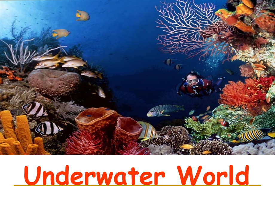 unit-3Underwater-World.ppt_第1页