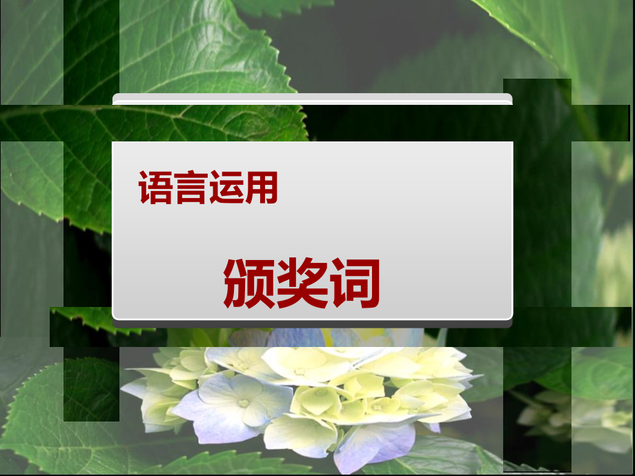 颁奖词写作—语用专题.ppt_第1页