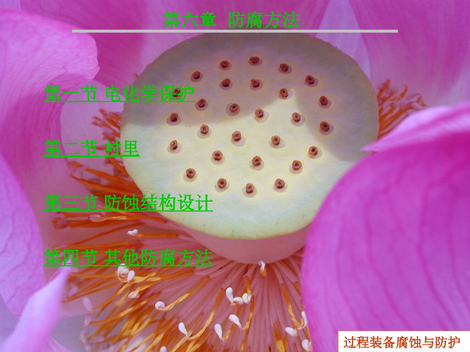 第六章 防腐方法.ppt_第1页