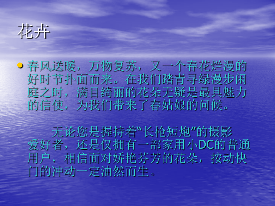 花卉的拍摄技巧.ppt_第2页