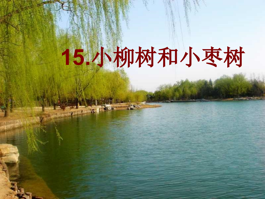 《小柳树和小枣树》课件7.ppt_第1页