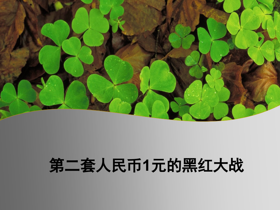 第二套人民币1元的黑红大战.ppt_第1页