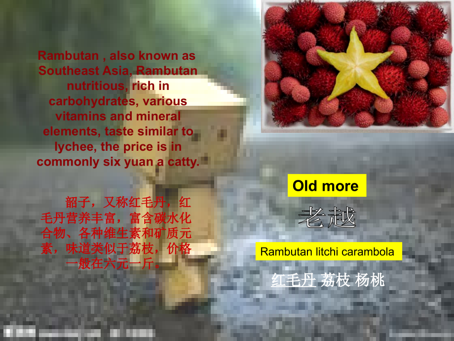 即将消失的世界景观.ppt_第2页