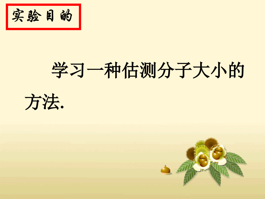 用油膜法估测分子的大小.ppt_第2页