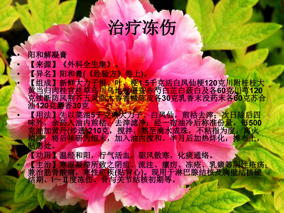 中医偏方秘方大全4.ppt_第2页