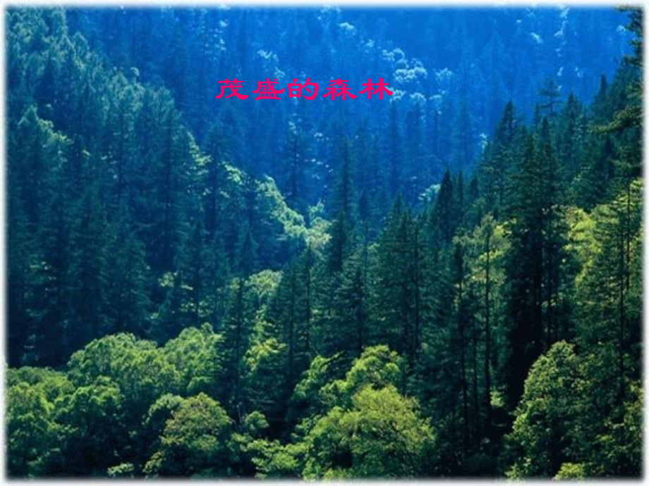 (北师大版)四年级语文下册课件一双手2.ppt_第2页