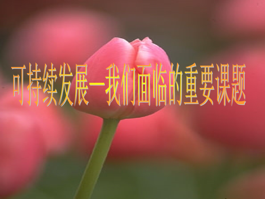 可持续发展我们面临的重要课题.ppt_第1页