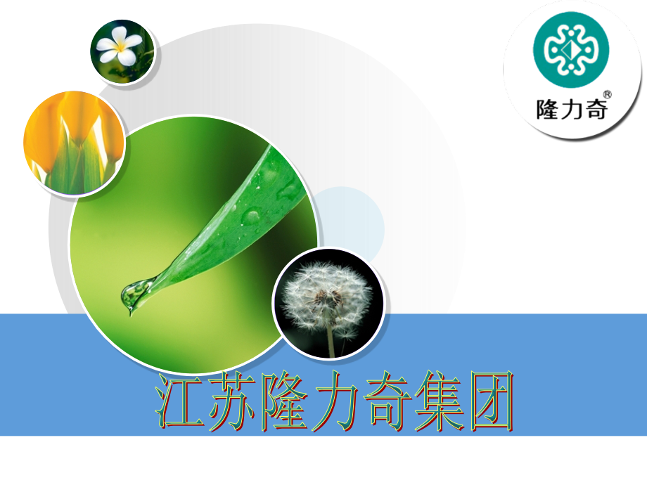 隆力奇十大优势——超越团队顾客资料39.ppt_第1页