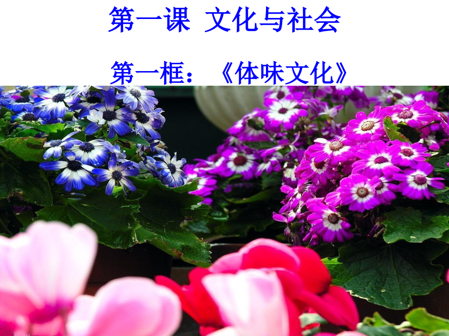 《体味文化》1.1.ppt_第1页