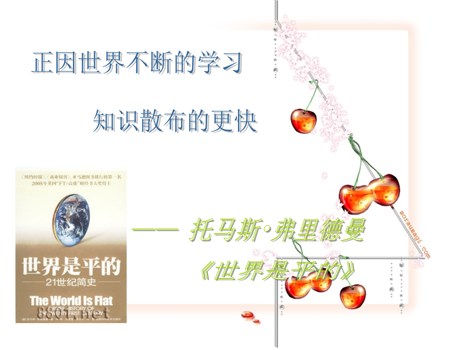 世界是平的读后感.ppt_第2页