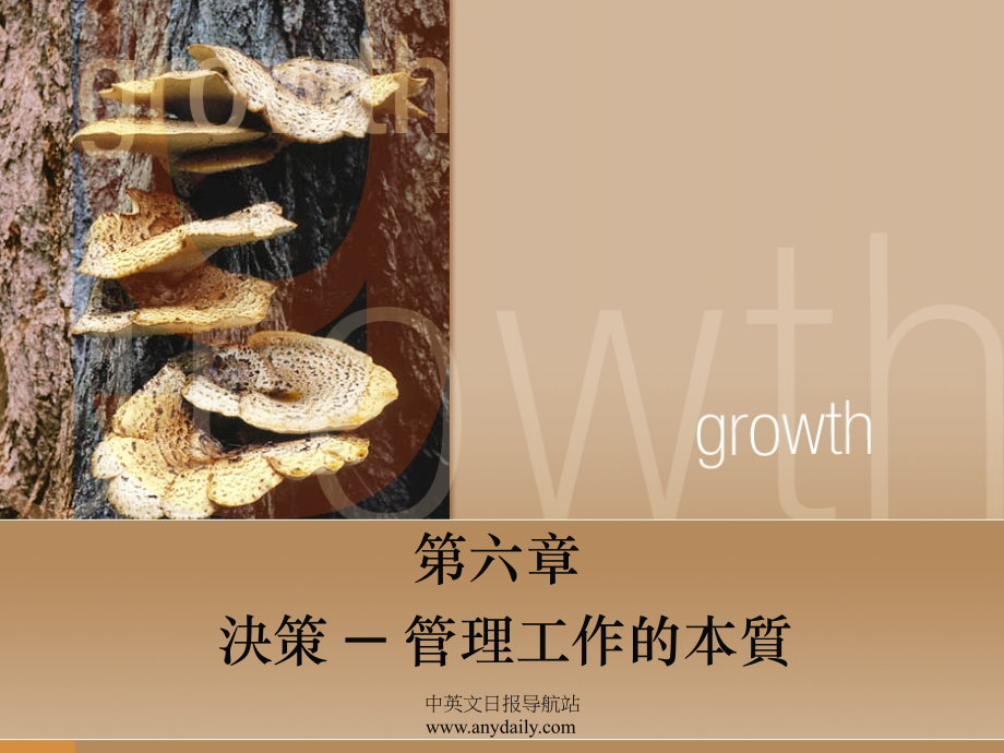 决策— 管理工作的本质.ppt_第1页