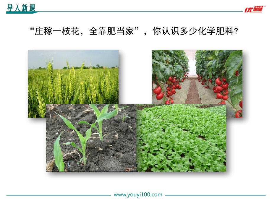 课题2-化学肥料-(5).ppt_第2页