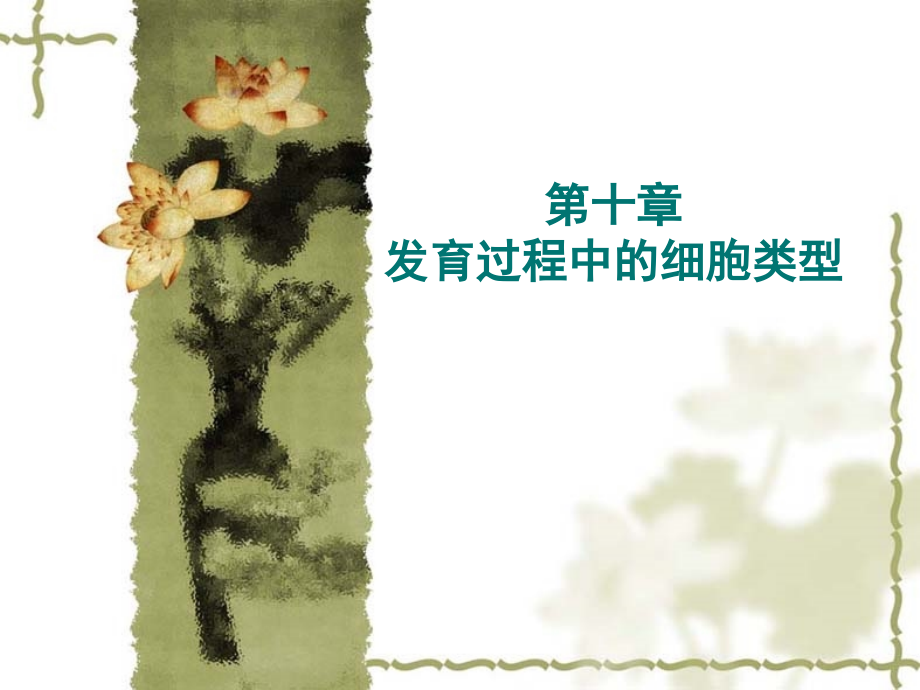 第十章发育过程中的细胞类型.ppt_第1页