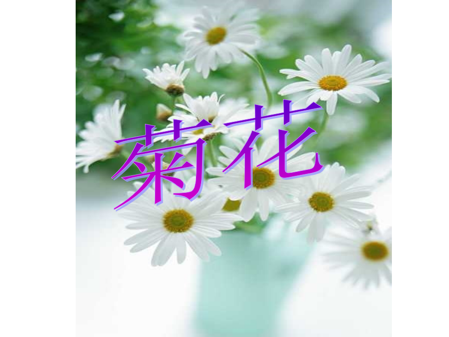 花类中草药.ppt_第1页
