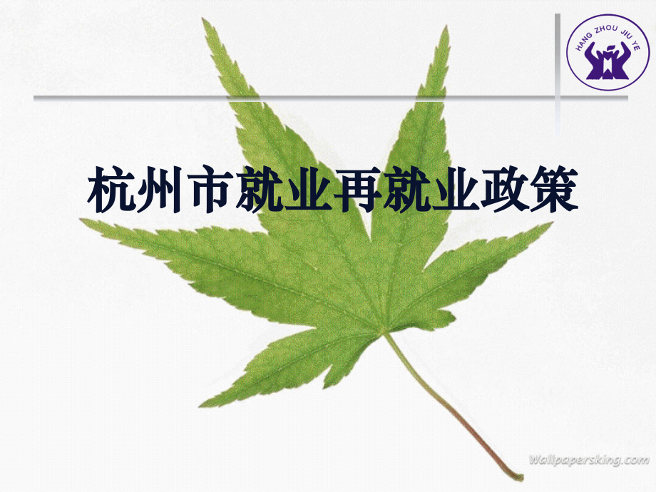 杭州市就业再就业政策.ppt_第1页