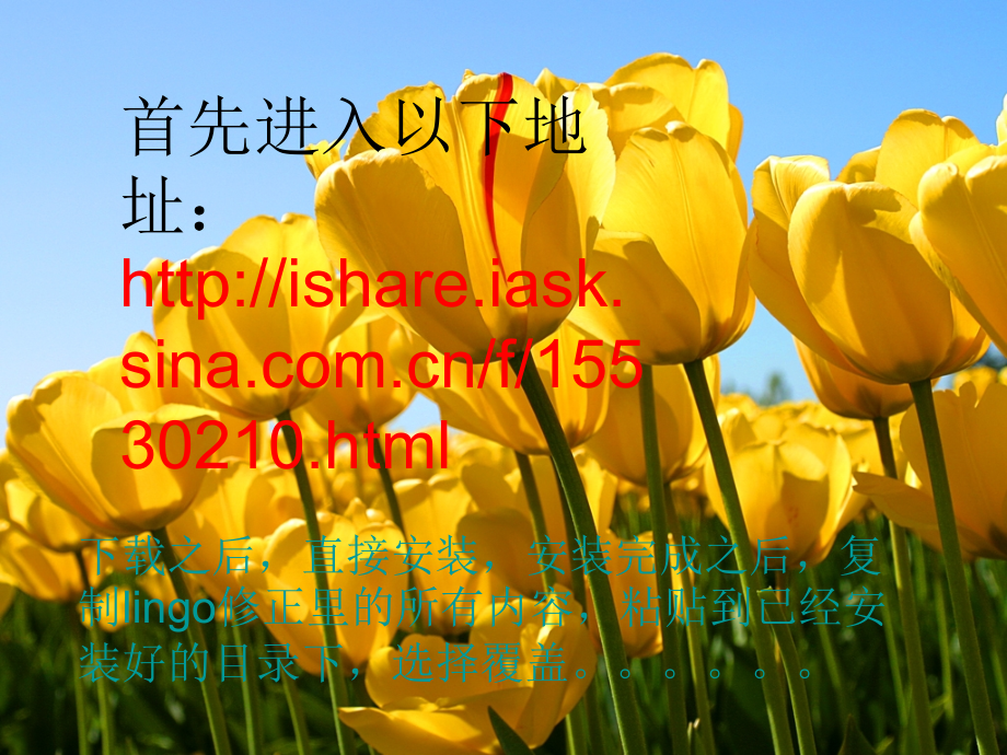 lingo12破解版地址及安装方法.ppt_第2页