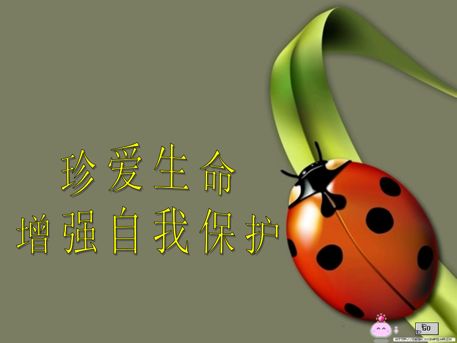 珍爱生命,增强自我保护意识.ppt_第1页