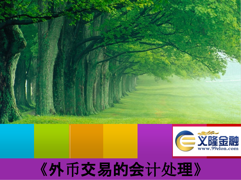 外币会计报表折算的意义.ppt_第1页
