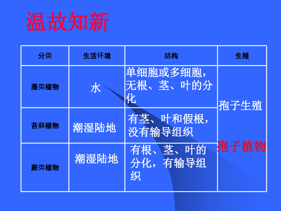 初一生物《种子植物》PPT课件[1].ppt_第1页