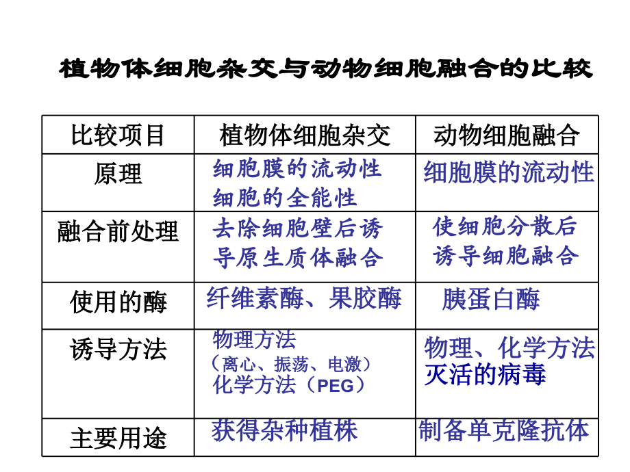克隆技术1.ppt_第1页