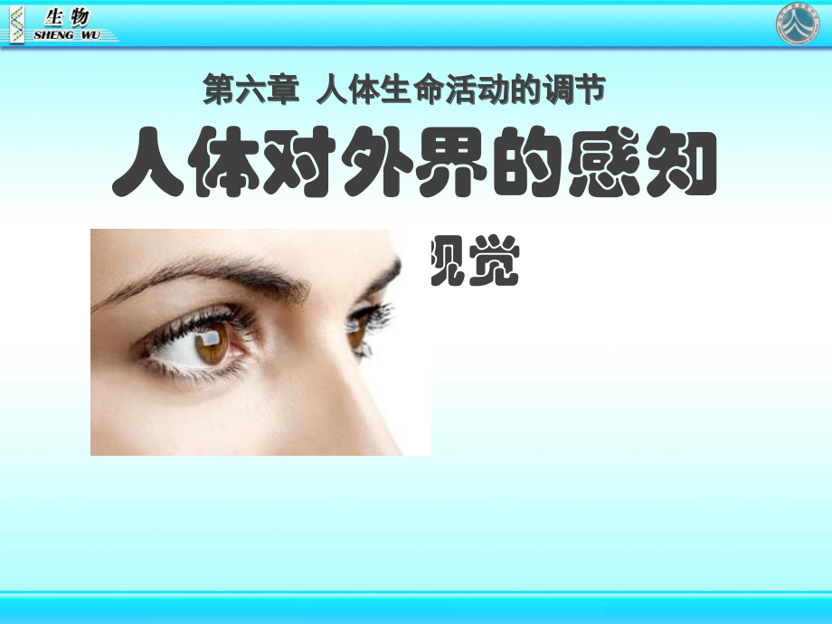 第一节人体对外界环境的感知-(2).ppt_第2页