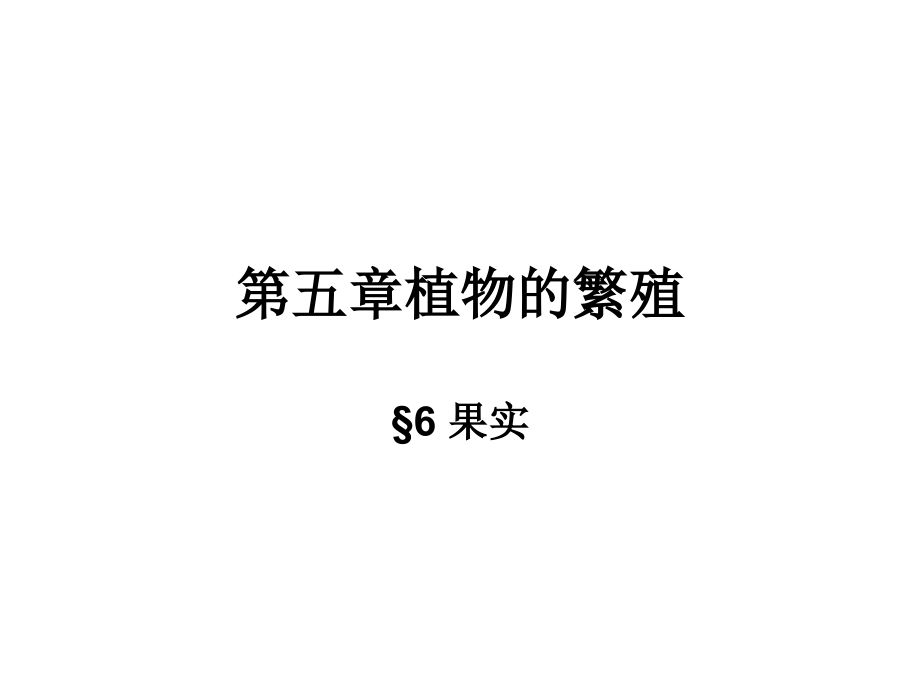 植物的繁殖06果实.ppt_第1页