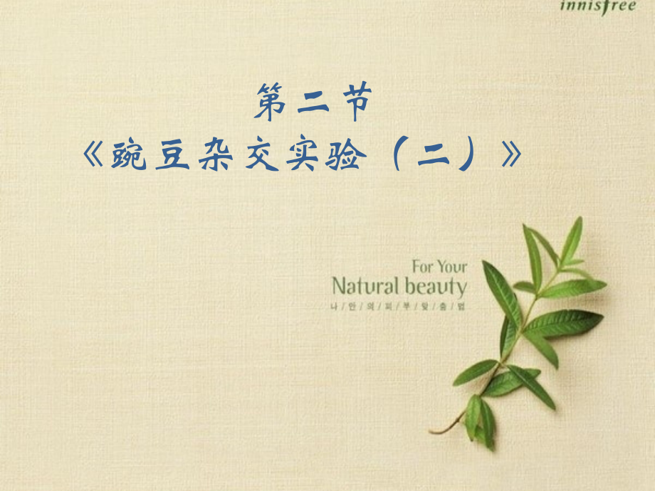 第一章第二节孟德尔的豌豆杂交实验{二}.ppt_第1页