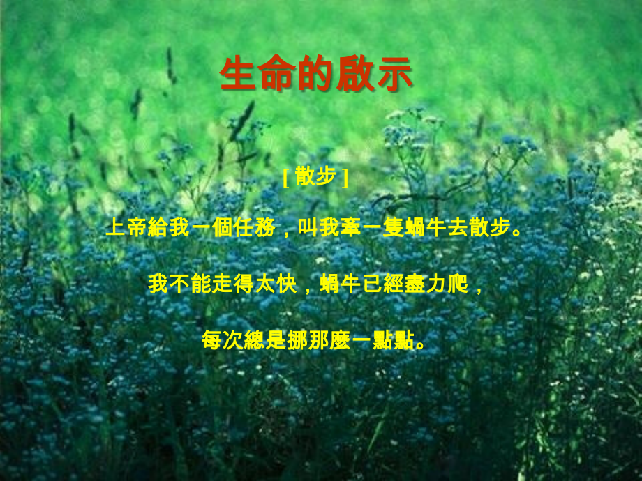 生命的启示1.ppt_第1页