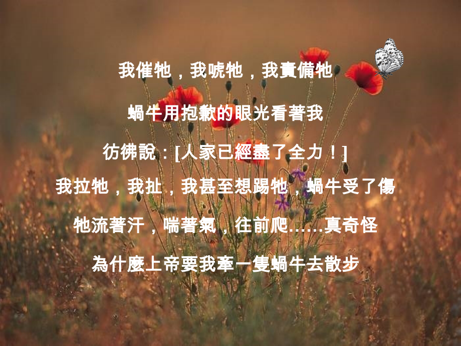 生命的启示1.ppt_第2页