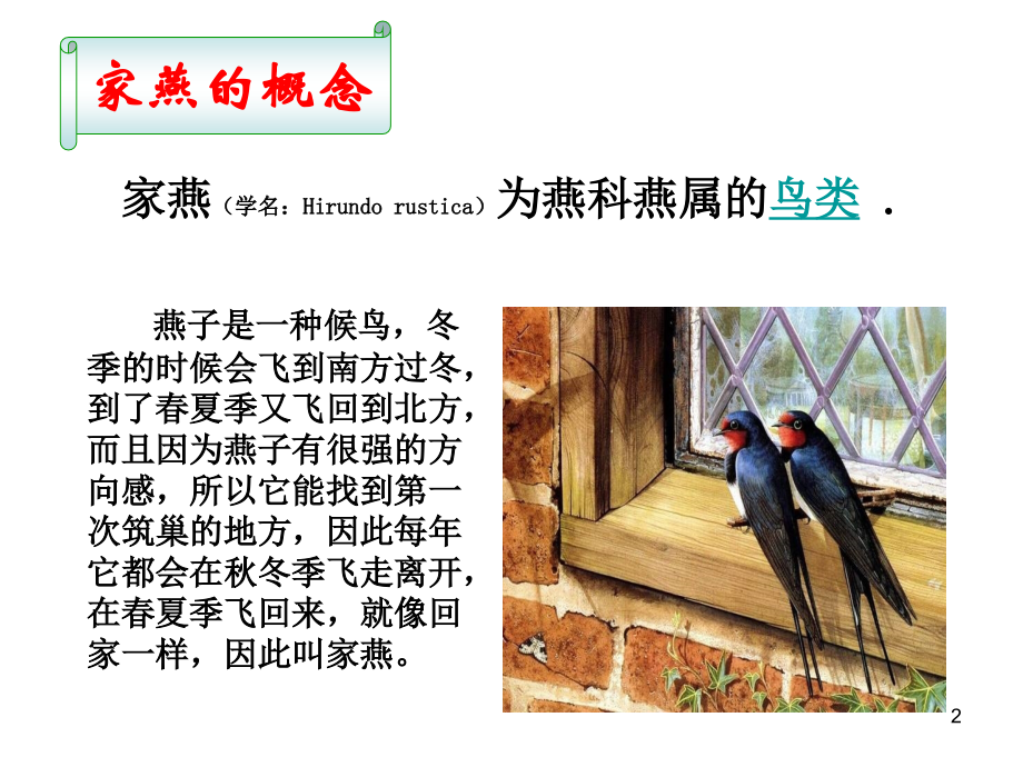 家燕的生态特征.ppt_第2页
