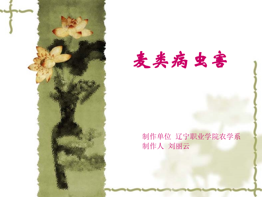 小麦病虫害.ppt_第1页