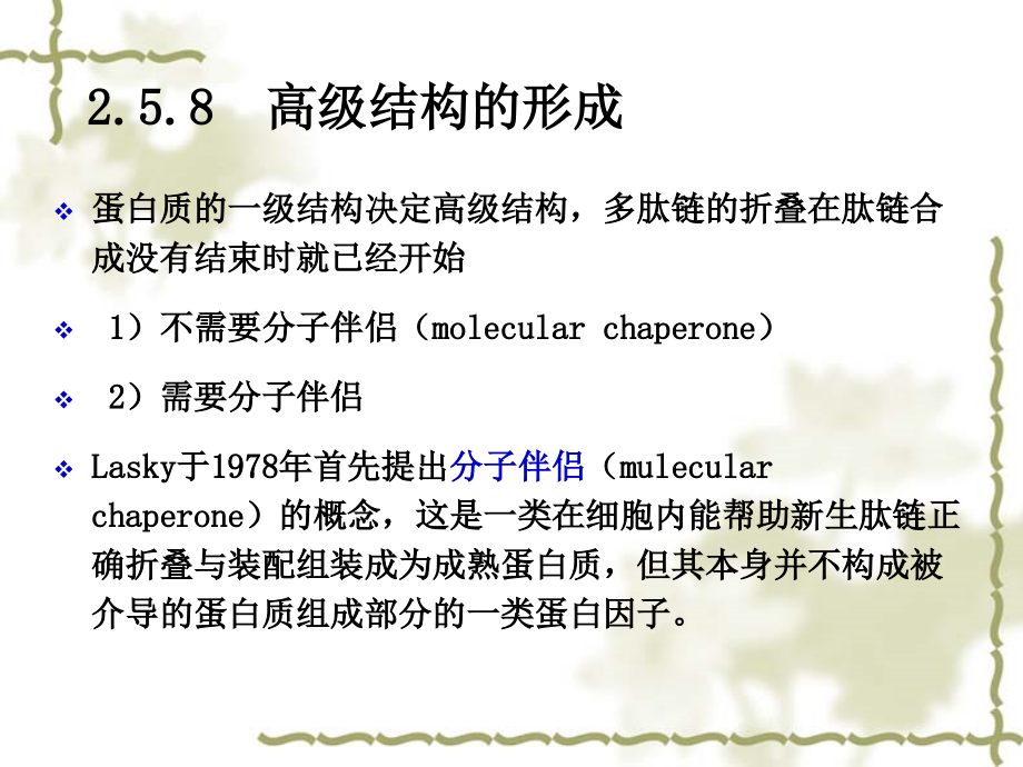遗传信息传递-2.ppt_第1页