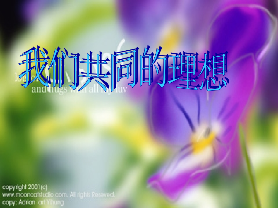 我们共同的理想.ppt_第1页