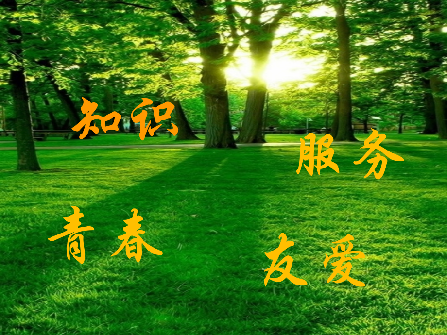 学习部PPT(1).ppt_第2页