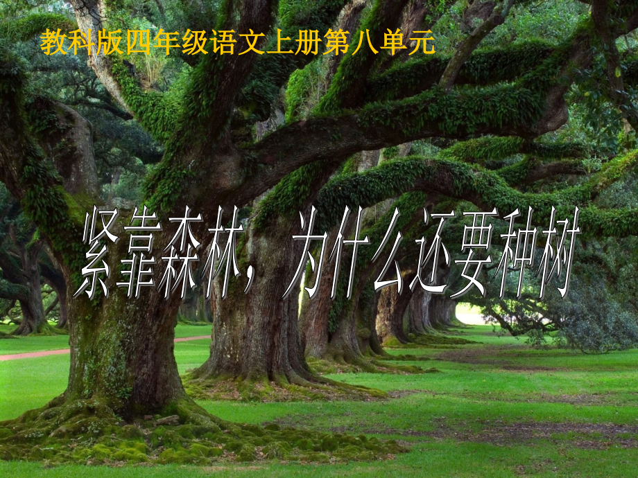 紧靠森林为什么还要种树.ppt_第1页