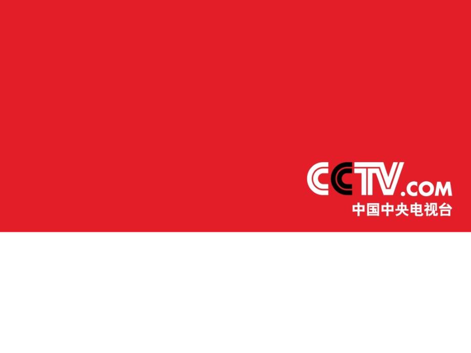 央视国际网站推广.ppt_第1页