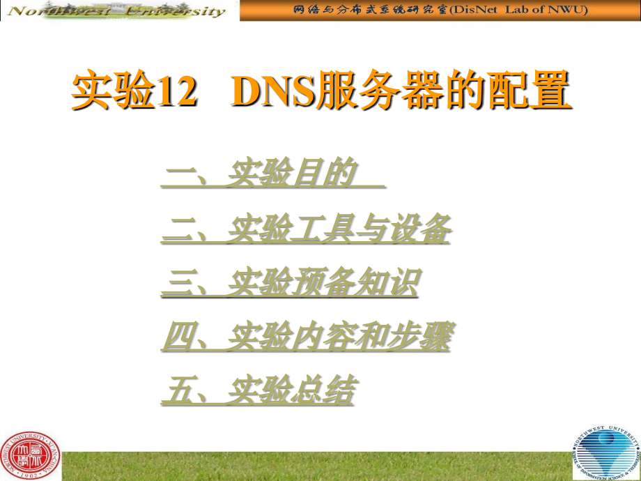 实验12DNS服务器配置.ppt_第1页