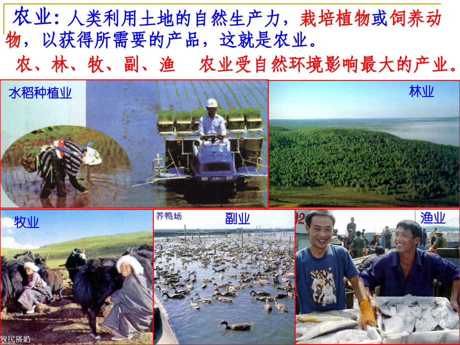 第一节 农业的区位选择.ppt_第2页