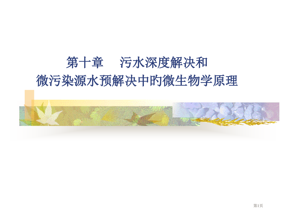 污废水深度处置和微污染源水预处置中的微生物学原理.pptx_第1页