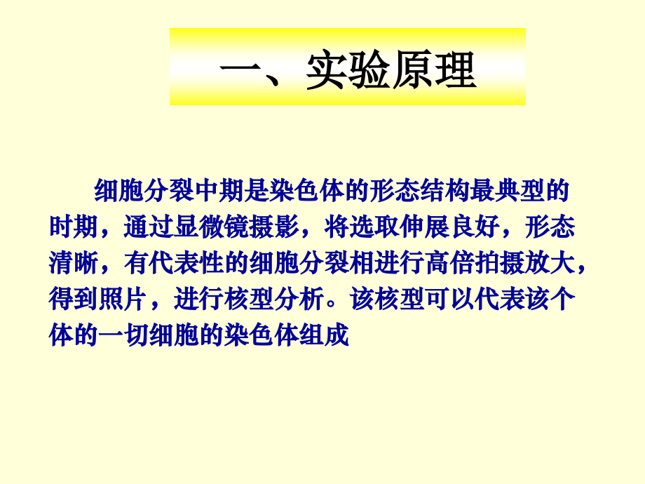 实验四畜禽染色体核型分析.ppt_第2页