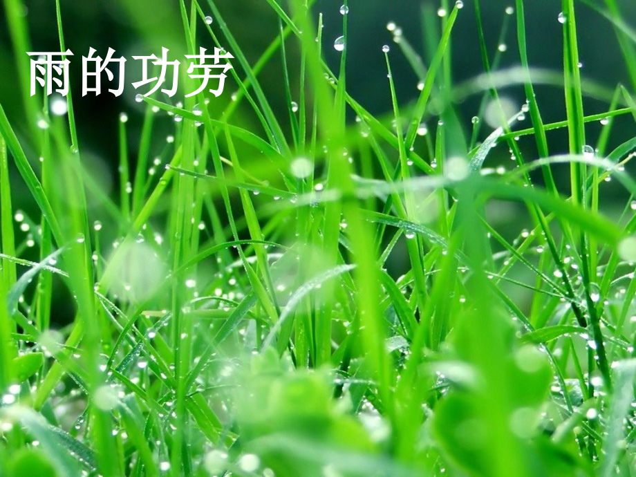 可爱可恨的雨.ppt_第2页